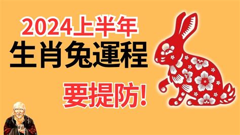 2024年生肖兔運程|属兔2024年运程及运势详解 2024年属兔人全年每月运势